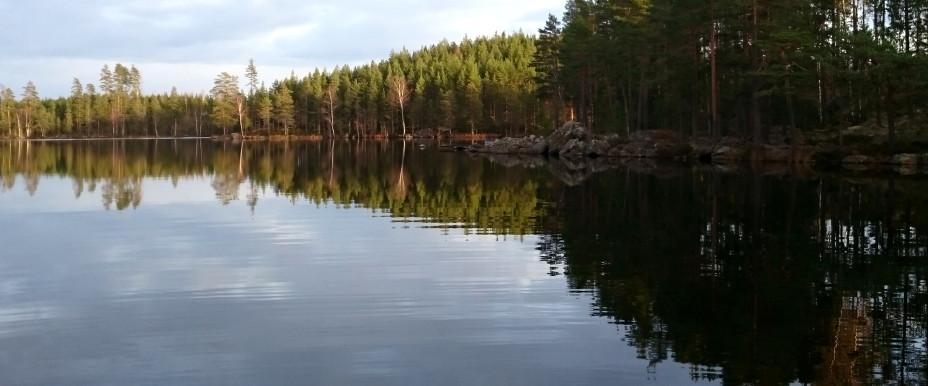 Stora Lövsjön - Image 5
