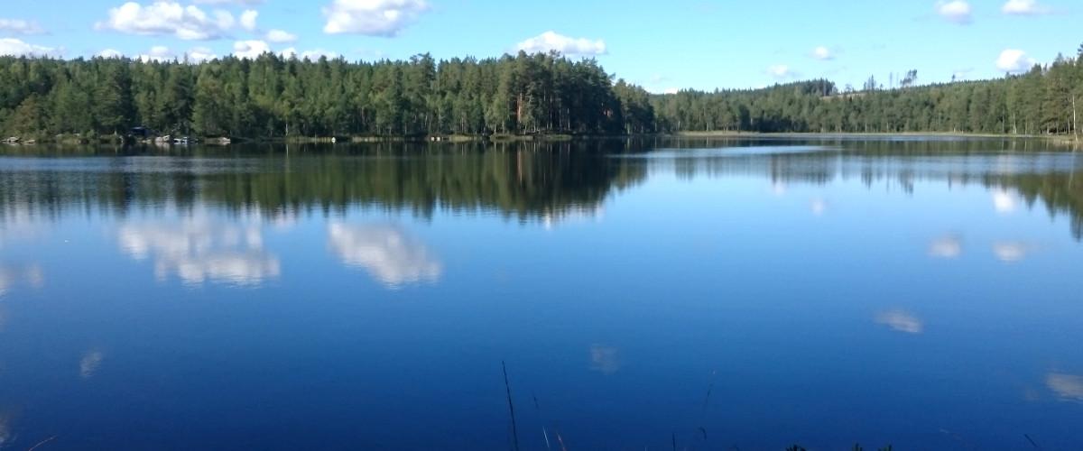 Stora Lövsjön - Image 8