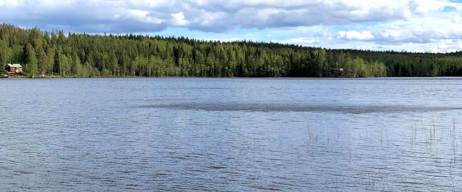 Ockelsjöviken