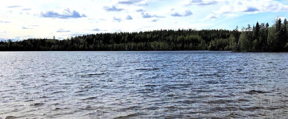 Åkertjärnsviken