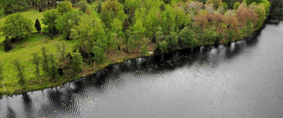 Föredasjön - Image 1