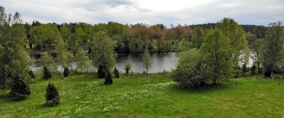 Föredasjön - Image 5