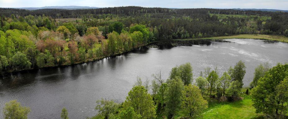 Föredasjön - Image 2