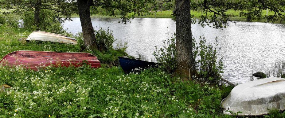 Föredasjön - Image 4