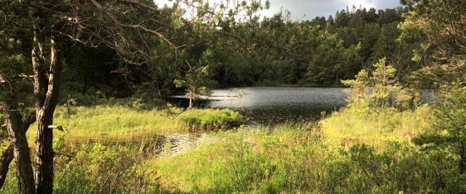 Stora och Lilla Ramsjön - Image 1