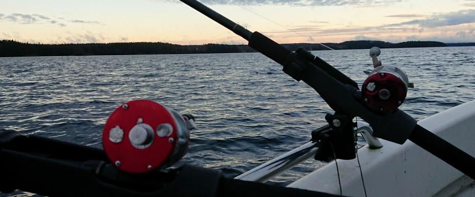 Södra Lelång - Image 3