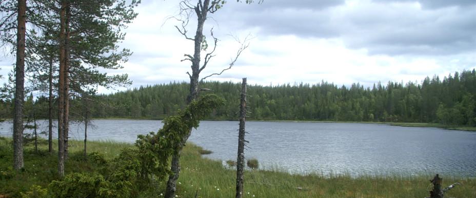 Storgrubbtjärn (Storkvarnsten)