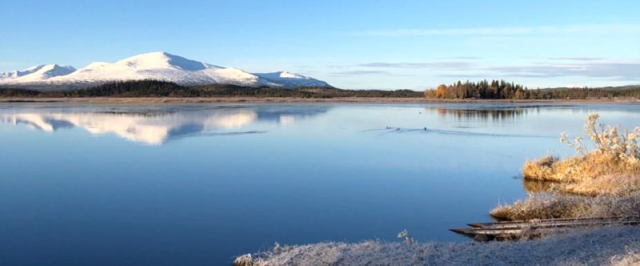 Vallaviken (Ånnsjön), Harsjön - Image 4