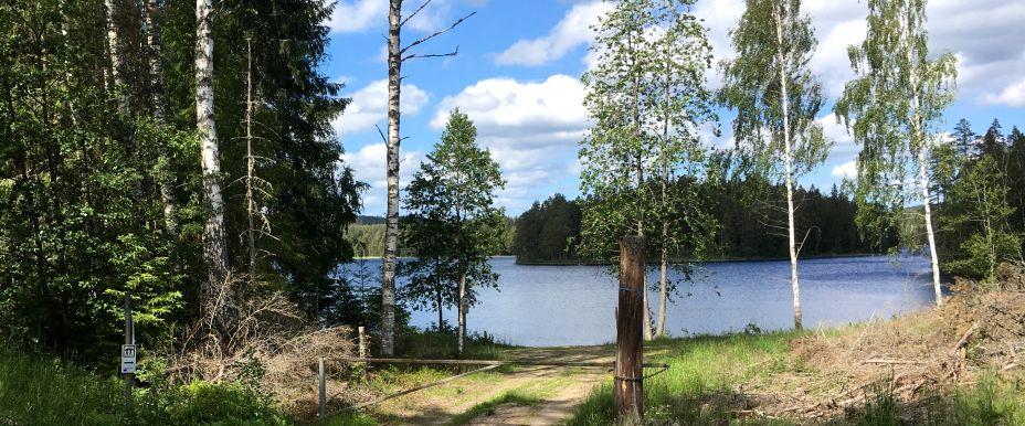 Limmen - Image 1
