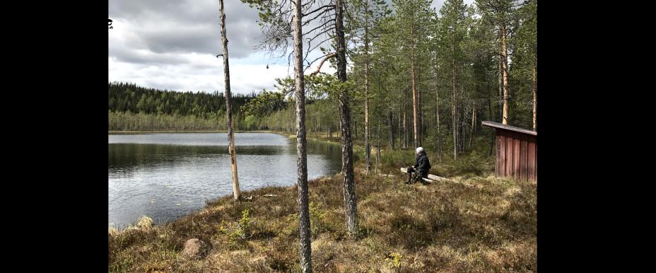 Hällbymagasinet, Stenbittjärn, Abborrtjärn m fl vatten - Image 3