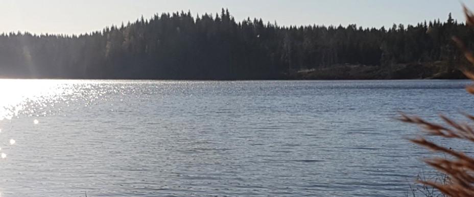 Nordsjön