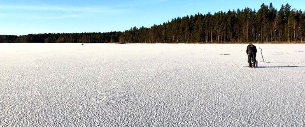 Tävling