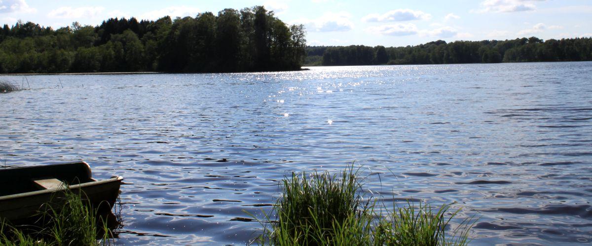 Sjöbergasjön - Image 3
