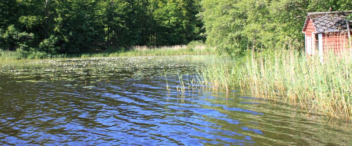 Sjöbergasjön - Image 2