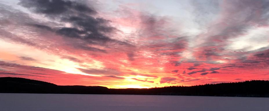 Januarimorgon på Övertjärn