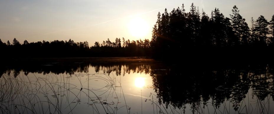 Yasjön, Nejsjön, Åbrunnen - Image 2
