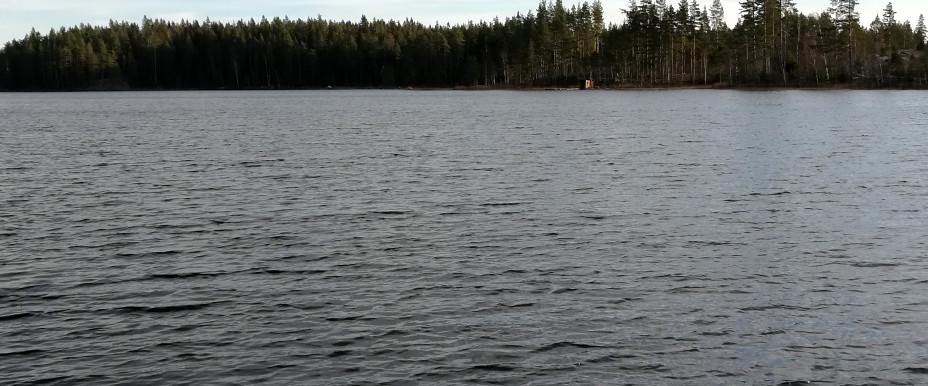 Vindskydd
