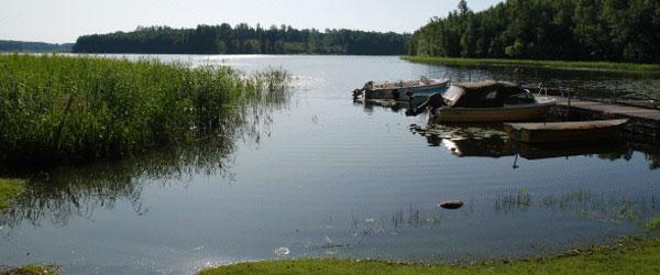 Kolsnaren och Viren - Image 2