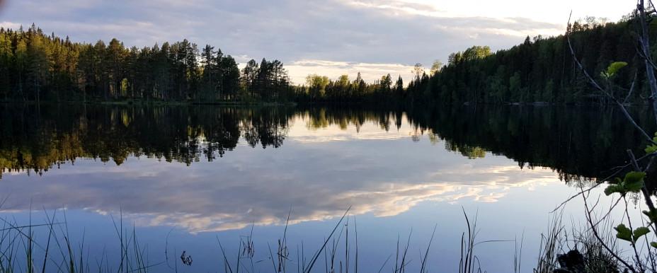 Trästatjärn - Image 3
