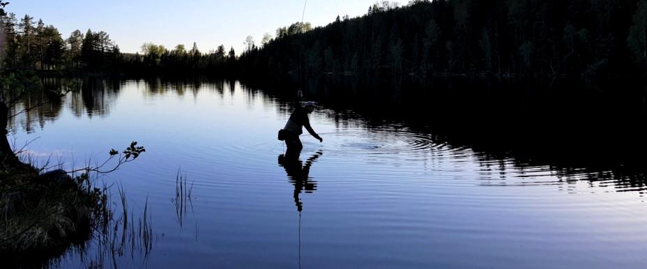 Trästatjärn - Image 4