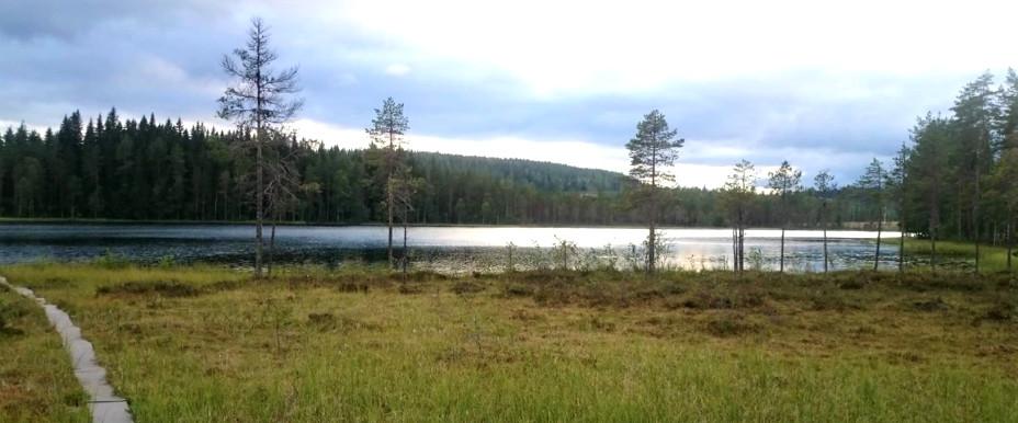 Norra Anundsjöån, Agnsjön m fl vatten - Image 11