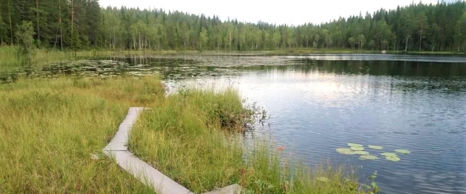 Norra Anundsjöån, Agnsjön m fl vatten - Image 10