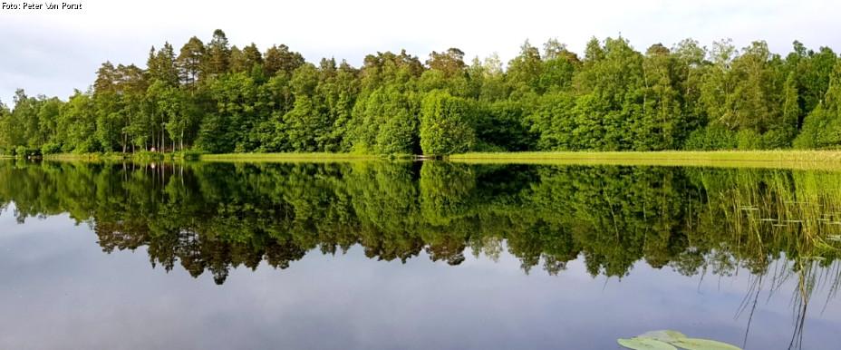 Ulvstorpasjön - Image 2