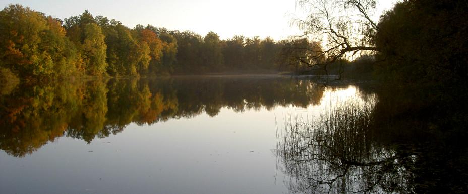 Ballingslövssjön, Ottarpasjön - Image 1