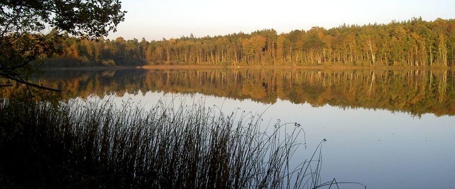 Ballingslövssjön, Ottarpasjön - Image 2