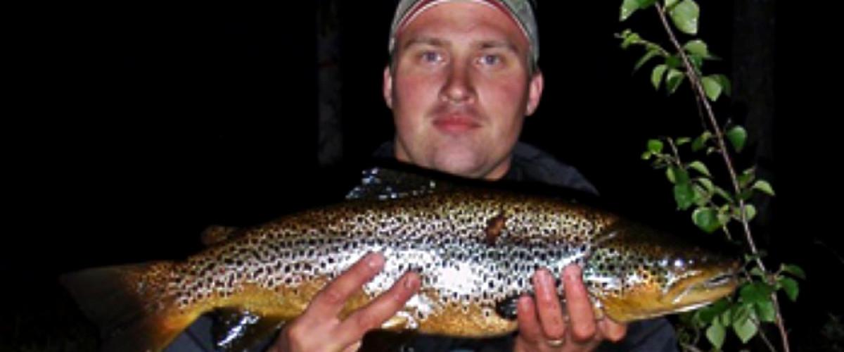 Gruckarna, Ljungan, Flåsjön m fl vatten - Image 2