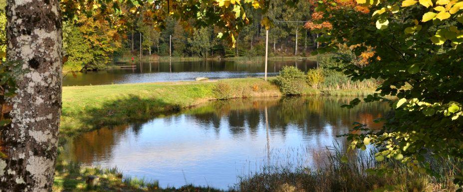 KSFK dammar i Brostorp - Image 1