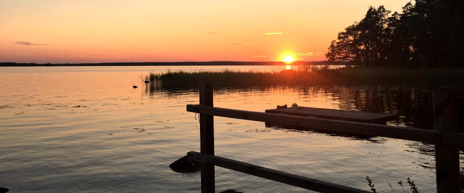 Färnebofjärden - Image 5