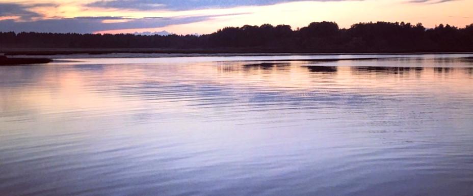 Färnebofjärden - Image 2