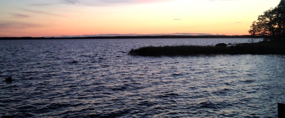 Färnebofjärden - Image 3