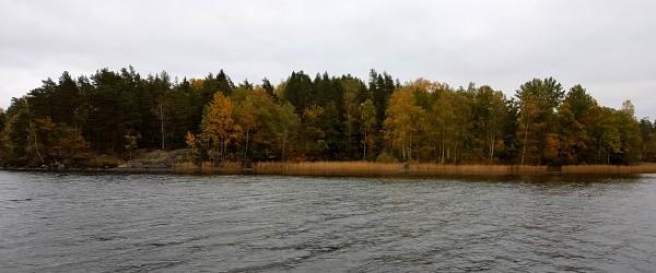 Vindommen - Image 2