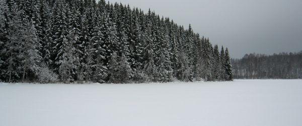 Barken, Flaten, Snuvtjärn m fl sjöar - Image 3