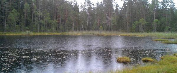 Barken, Flaten, Snuvtjärn m fl sjöar - Image 7