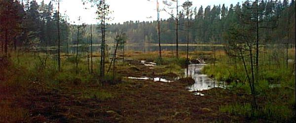 Barken, Flaten, Snuvtjärn m fl sjöar - Image 8