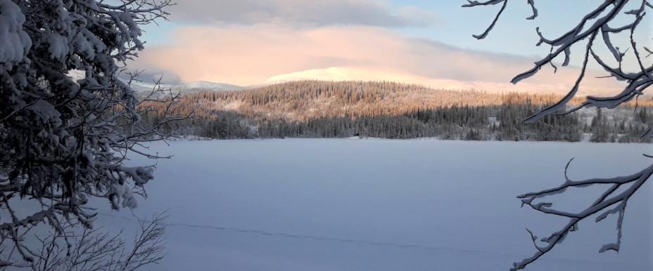 Fröåtjärn - Image 2