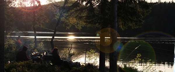 Arbrås FVF Lillsjön, Stugsjön, Ljusnan mm - Image 1