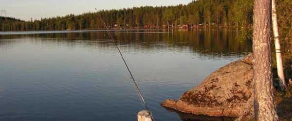 Arbrås FVF Lillsjön, Stugsjön, Ljusnan mm - Image 2