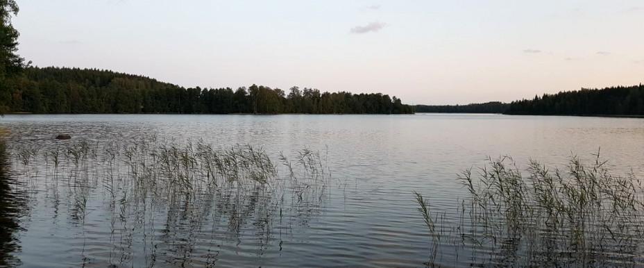 Sommarvy