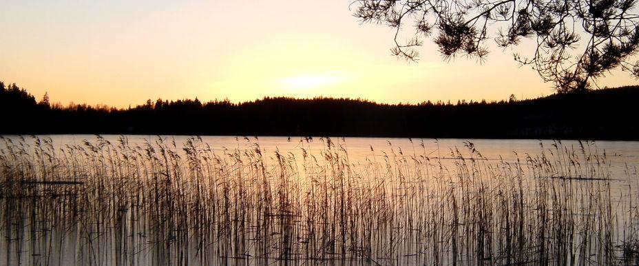 Vintervy