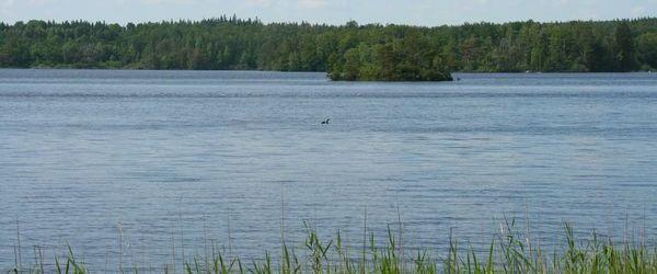 Listersjön och Sännen - Image 3