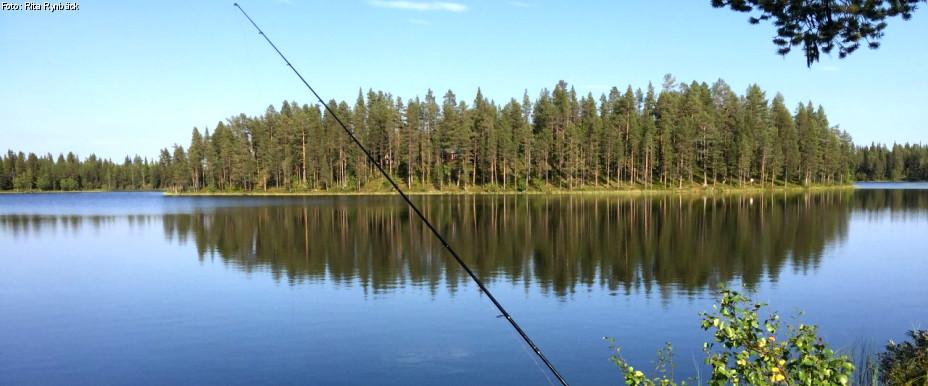Soutujärvi - Image 8