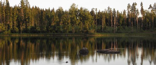 Dansjön-Furen - Image 1