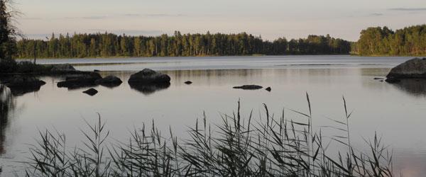 Dansjön-Furen - Image 5