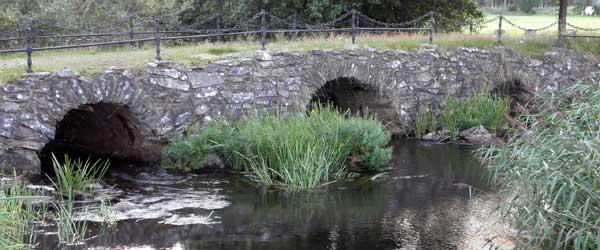 Dansjön-Furen - Image 6