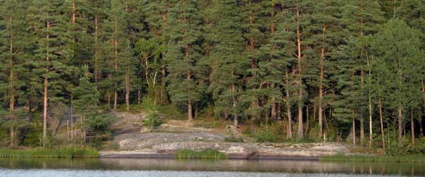Dansjön-Furen - Image 8