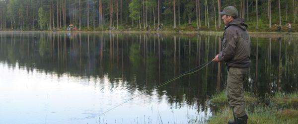 Undersviks FVF - Image 2